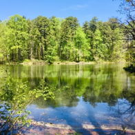Tranquil landscape with calm water, lush greenery, tall trees, and a clear blue sky, evoking peace and contemplation.