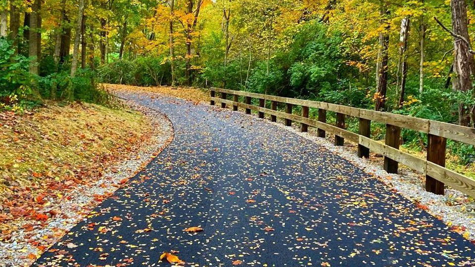 Winding path through vibrant autumn trees, with fallen leaves and a rustic railing, evoking tranquility and harmony with nature.