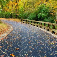 Winding path through vibrant autumn trees, with fallen leaves and a rustic railing, evoking tranquility and harmony with nature.