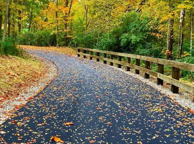 Winding path through vibrant autumn trees, with fallen leaves and a rustic railing, evoking tranquility and harmony with nature.