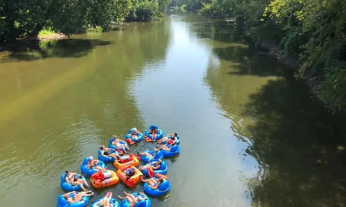 Group of people on inner tubes in a calm river, enjoying a sunny day among greenery, evoking joy and relaxation.
