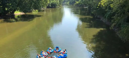 Group of people on inner tubes in a calm river, enjoying a sunny day among greenery, evoking joy and relaxation.